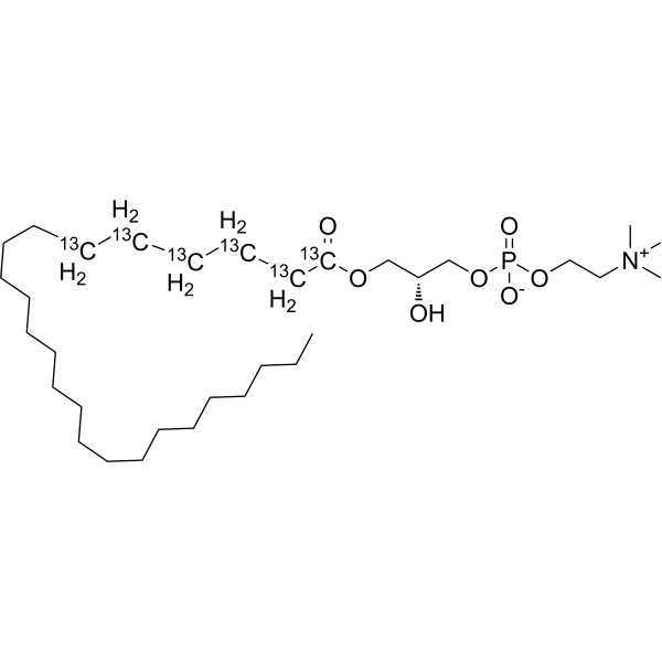 24:0 Lyso PC-13C6 2483735-01-7
